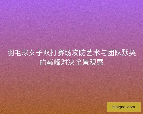 羽毛球女子双打赛场攻防艺术与团队默契的巅峰对决全景观察